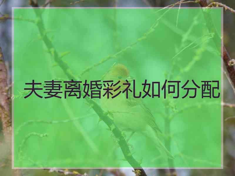 夫妻离婚彩礼如何分配