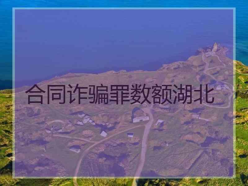 合同诈骗罪数额湖北