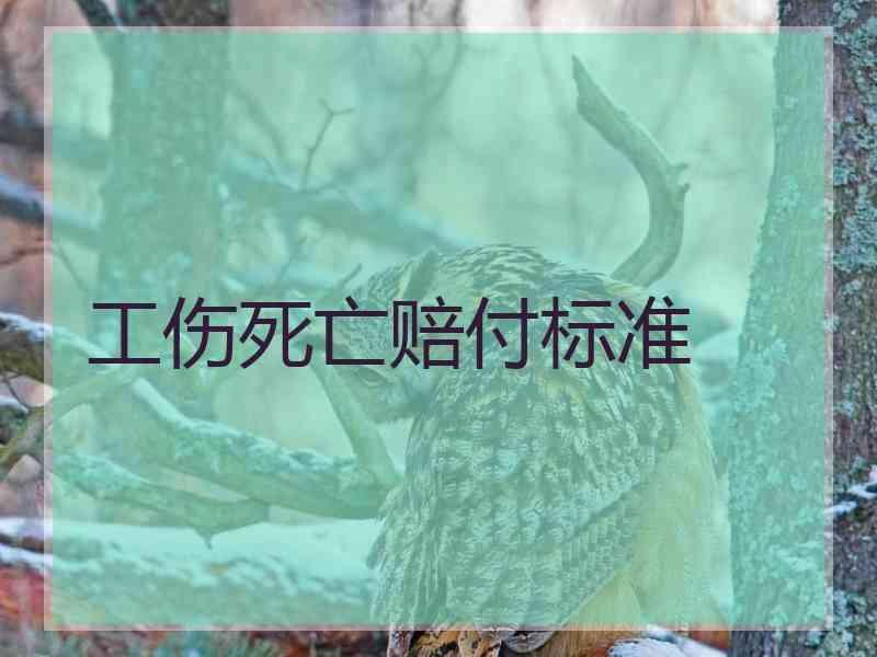 工伤死亡赔付标准