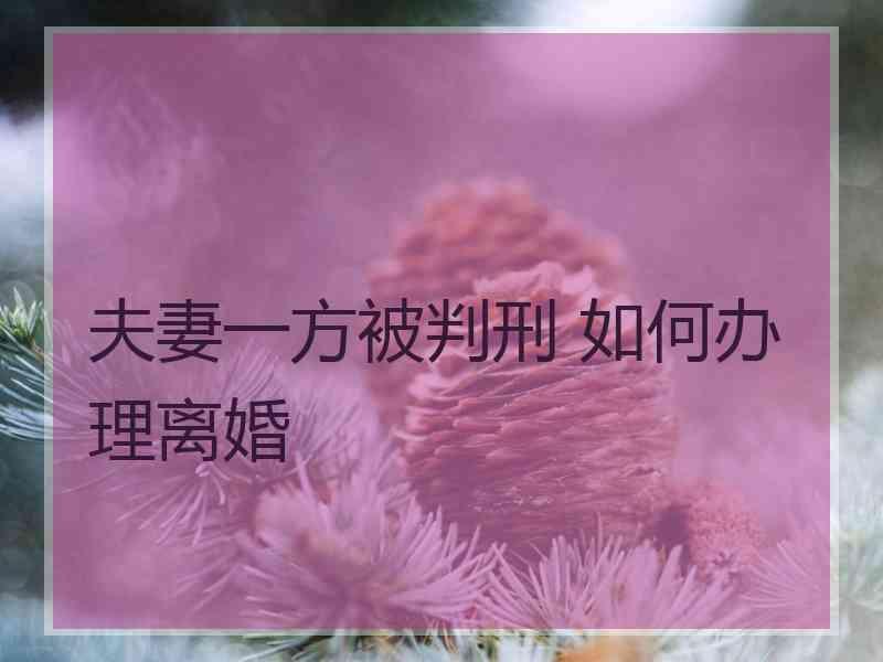 夫妻一方被判刑 如何办理离婚