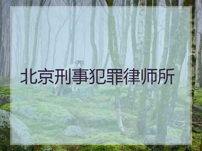 北京刑事犯罪律师所