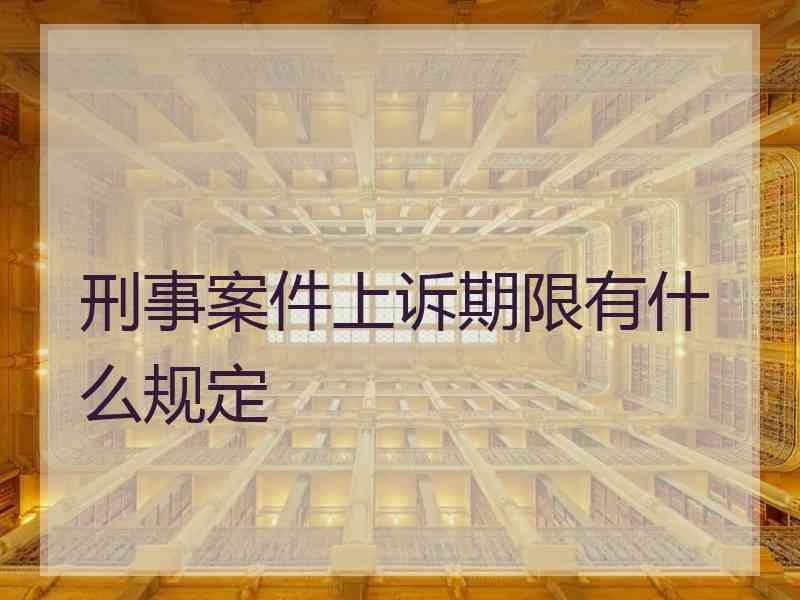 刑事案件上诉期限有什么规定