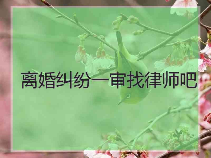 离婚纠纷一审找律师吧