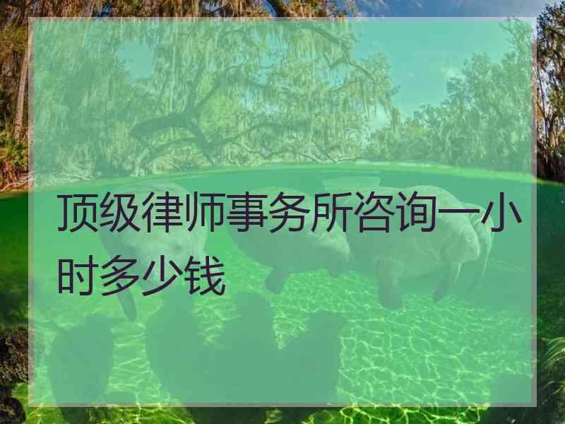 顶级律师事务所咨询一小时多少钱