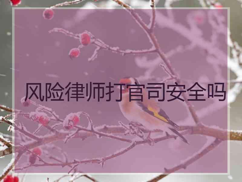 风险律师打官司安全吗