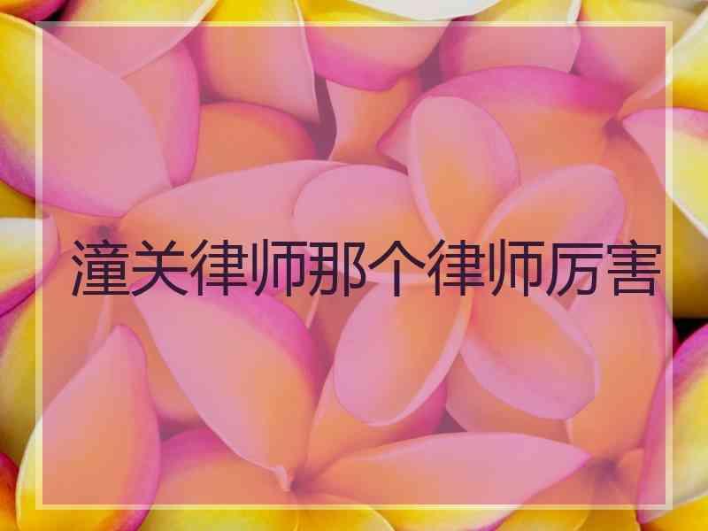 潼关律师那个律师厉害