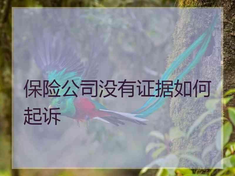 保险公司没有证据如何起诉