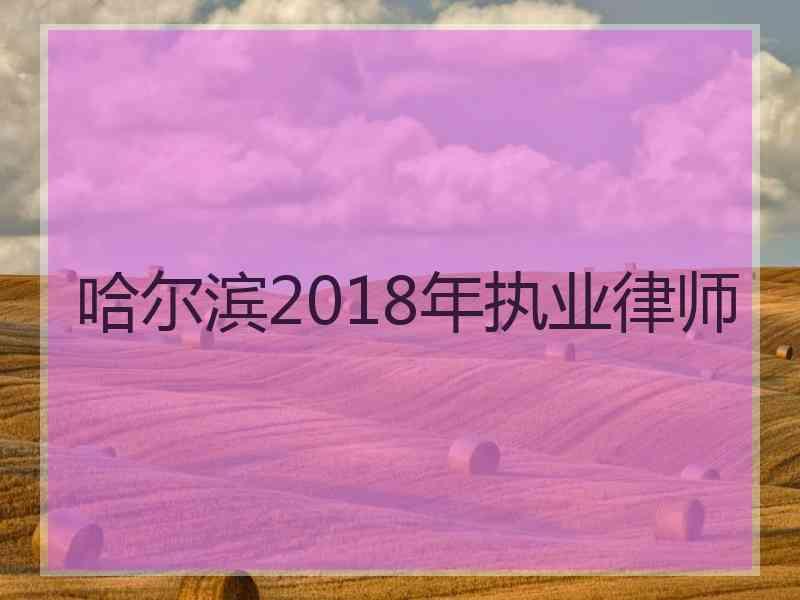 哈尔滨2018年执业律师