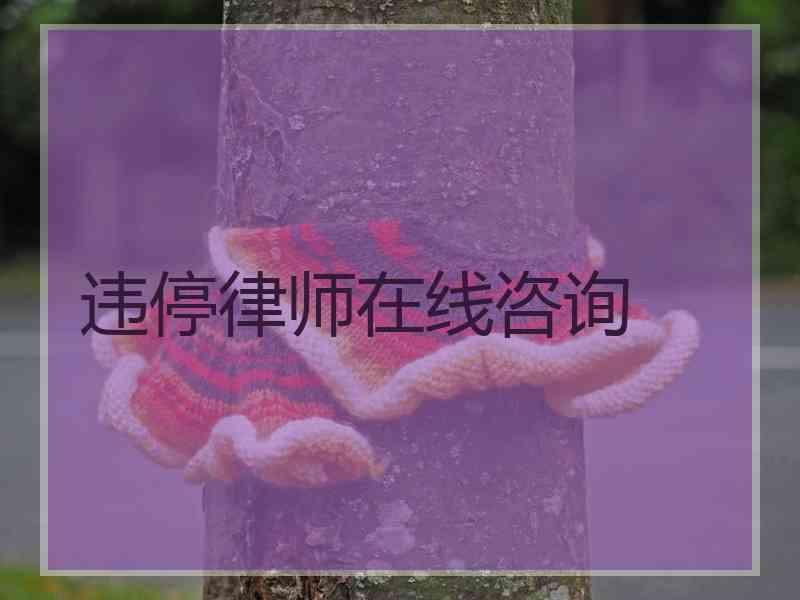 违停律师在线咨询