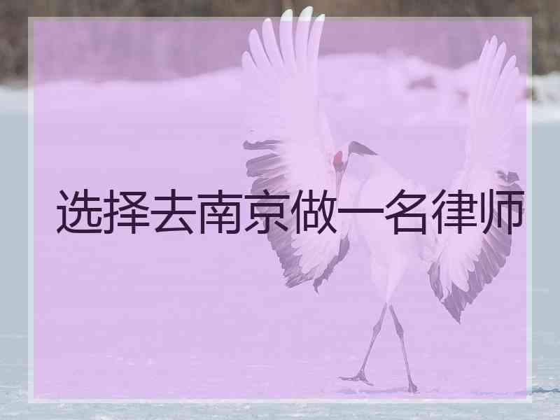 选择去南京做一名律师