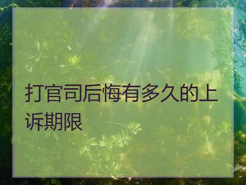 打官司后悔有多久的上诉期限