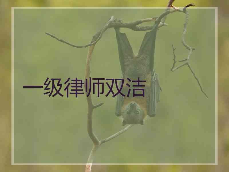 一级律师双洁