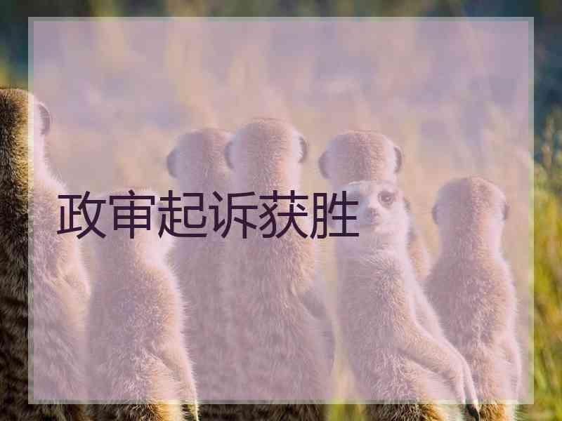 政审起诉获胜