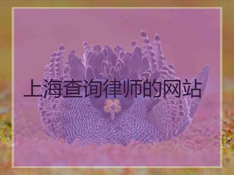 上海查询律师的网站