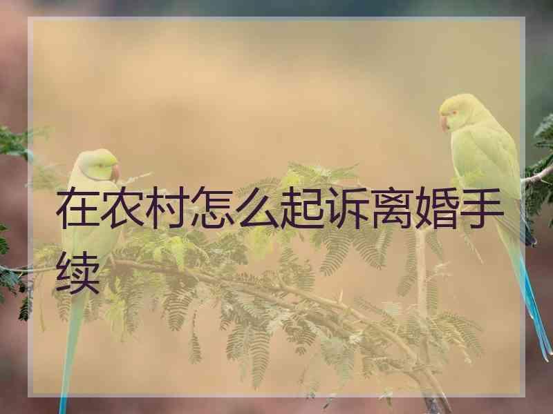 在农村怎么起诉离婚手续