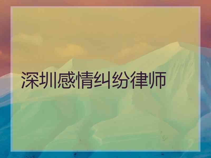 深圳感情纠纷律师