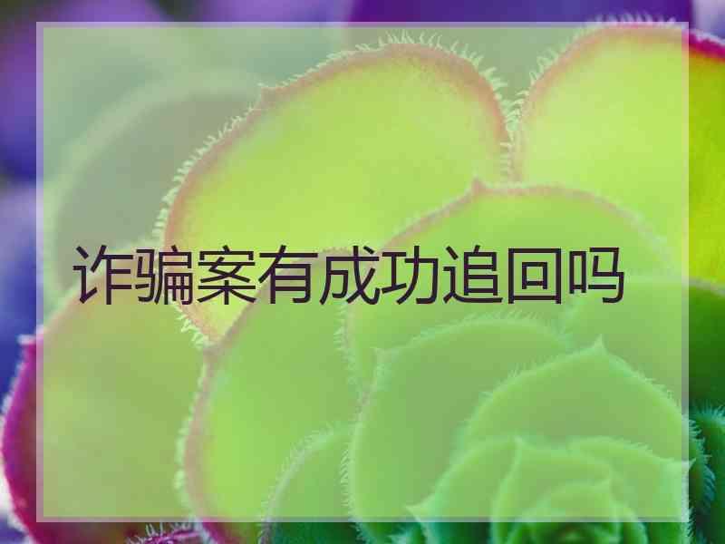 诈骗案有成功追回吗