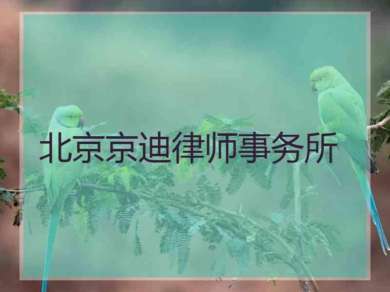 北京京迪律师事务所