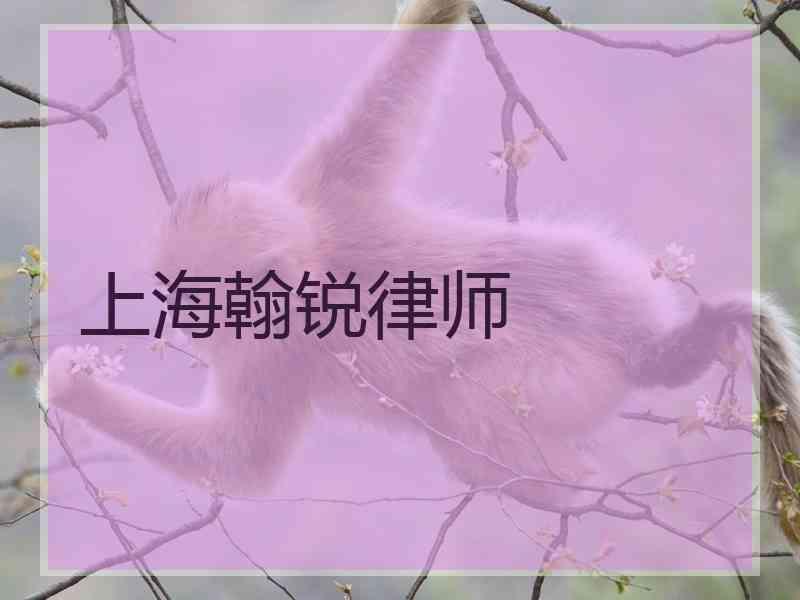 上海翰锐律师