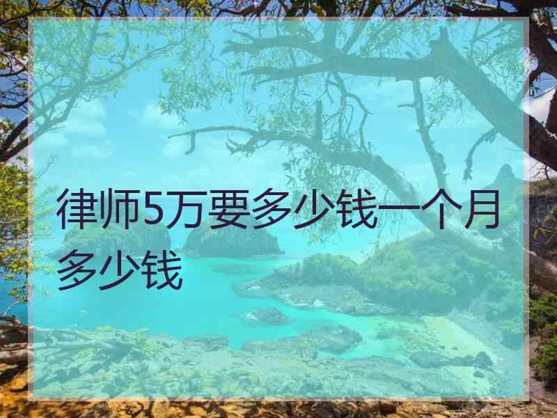 律师5万要多少钱一个月多少钱