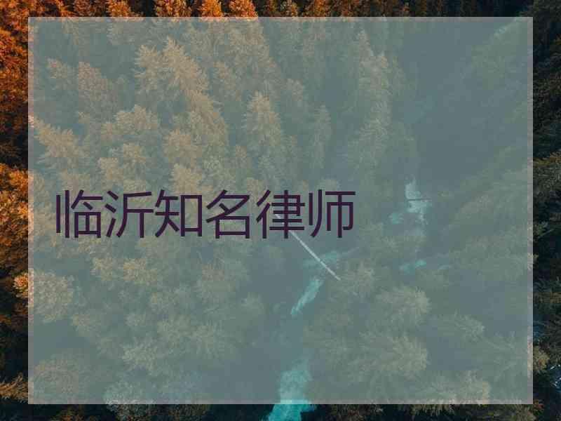 临沂知名律师