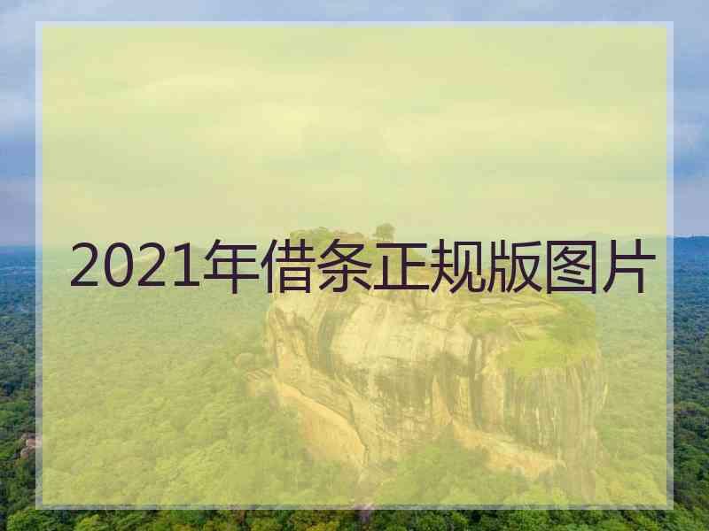 2021年借条正规版图片