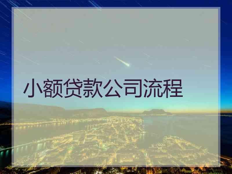 小额贷款公司流程