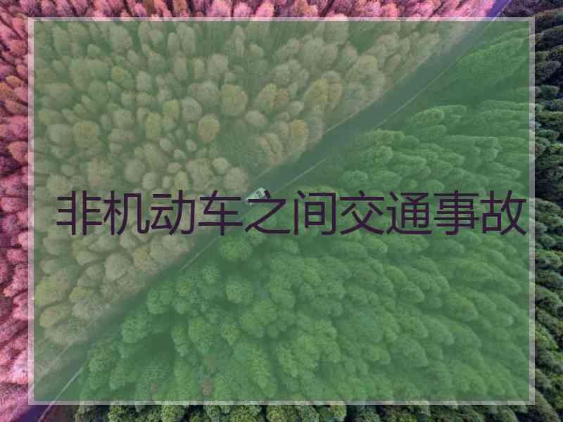 非机动车之间交通事故