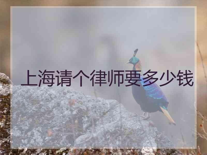 上海请个律师要多少钱