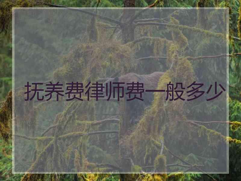 抚养费律师费一般多少