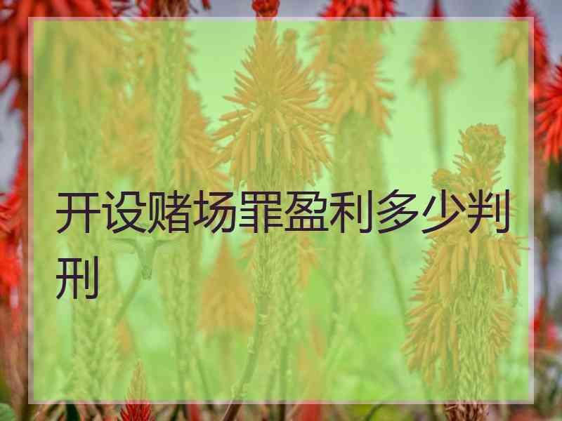 开设赌场罪盈利多少判刑