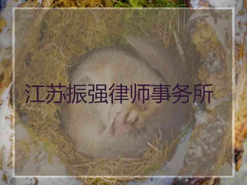 江苏振强律师事务所