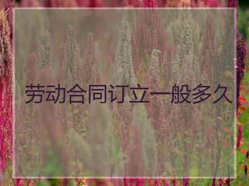 劳动合同订立一般多久