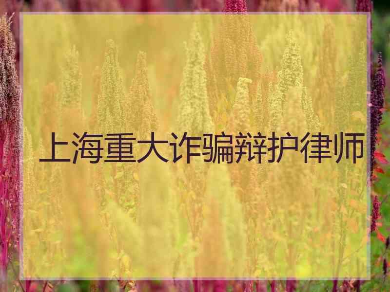 上海重大诈骗辩护律师