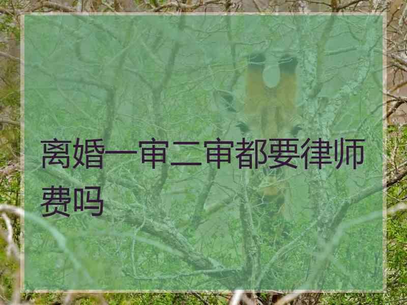 离婚一审二审都要律师费吗