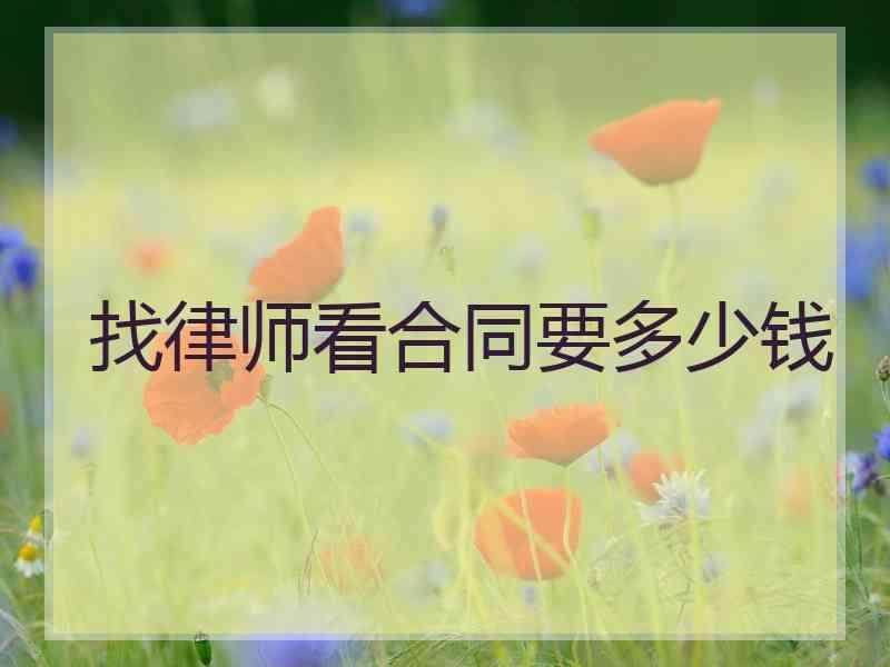 找律师看合同要多少钱