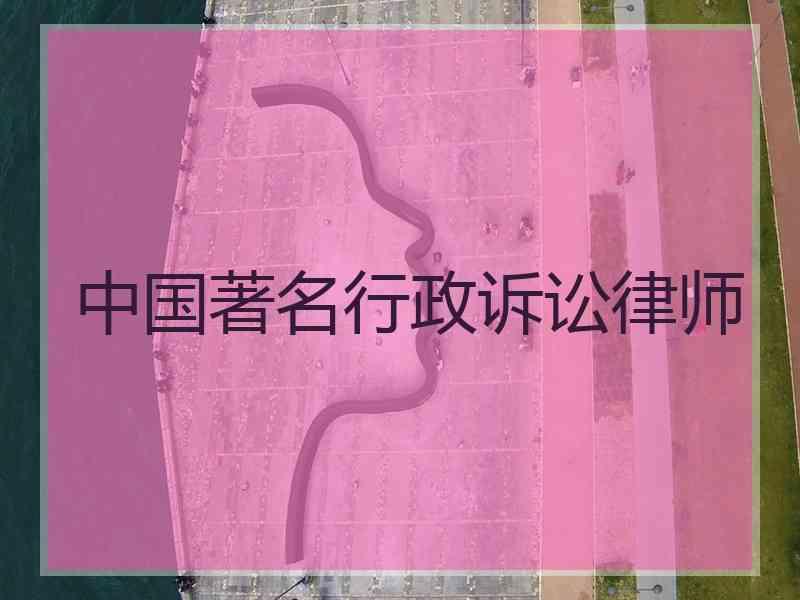 中国著名行政诉讼律师