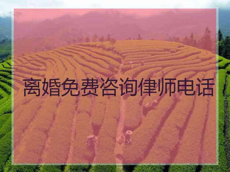 离婚免费咨询侓师电话