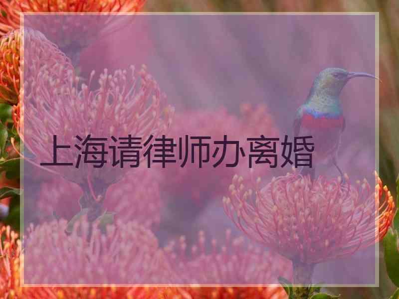 上海请律师办离婚