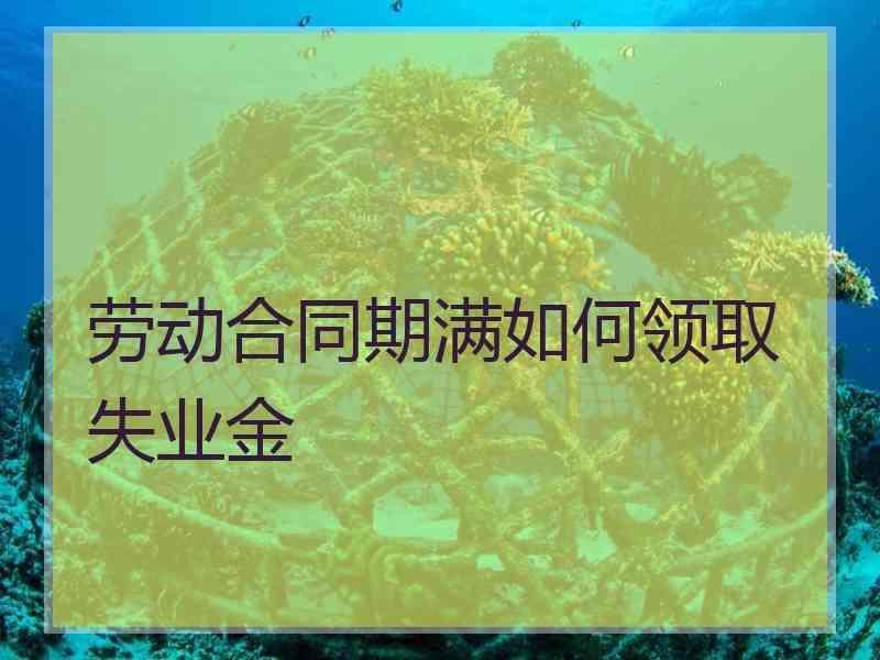 劳动合同期满如何领取失业金