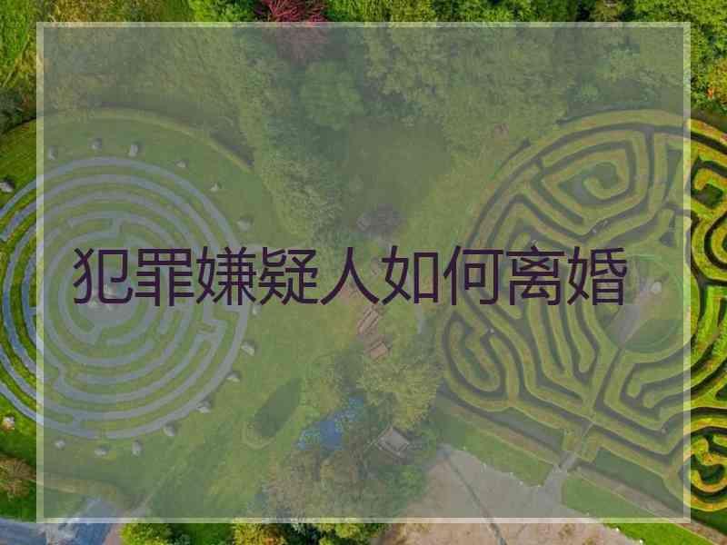 犯罪嫌疑人如何离婚