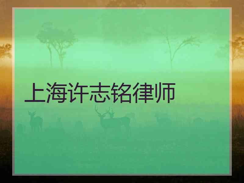 上海许志铭律师