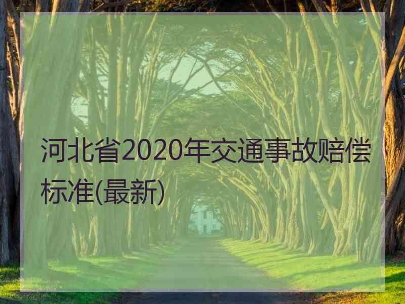 河北省2020年交通事故赔偿标准(最新)