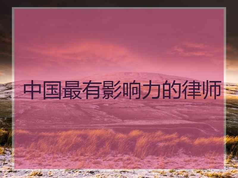 中国最有影响力的律师