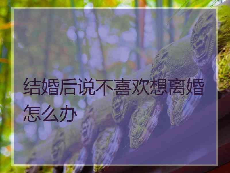 结婚后说不喜欢想离婚怎么办