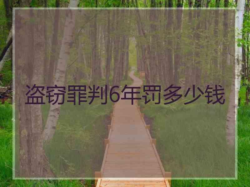 盗窃罪判6年罚多少钱