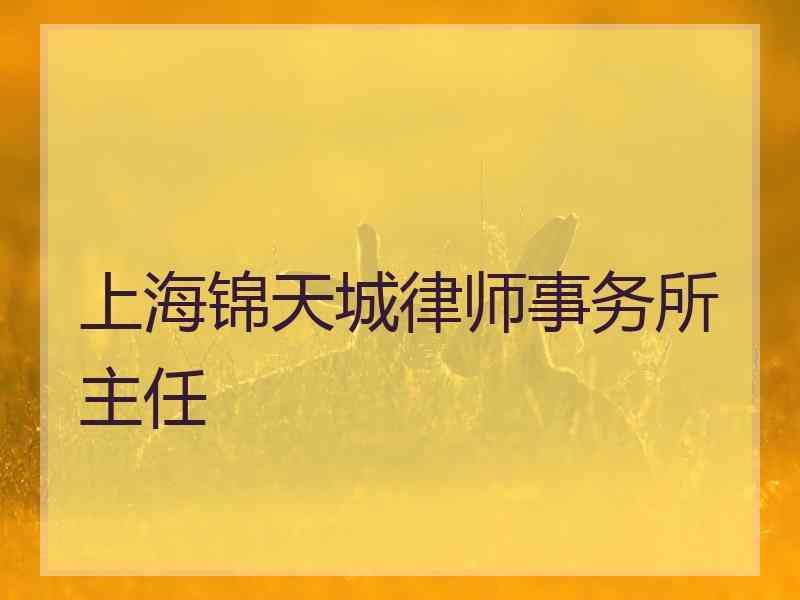 上海锦天城律师事务所主任