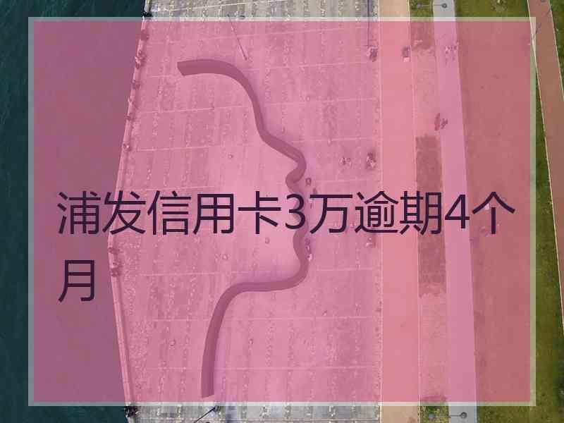 浦发信用卡3万逾期4个月