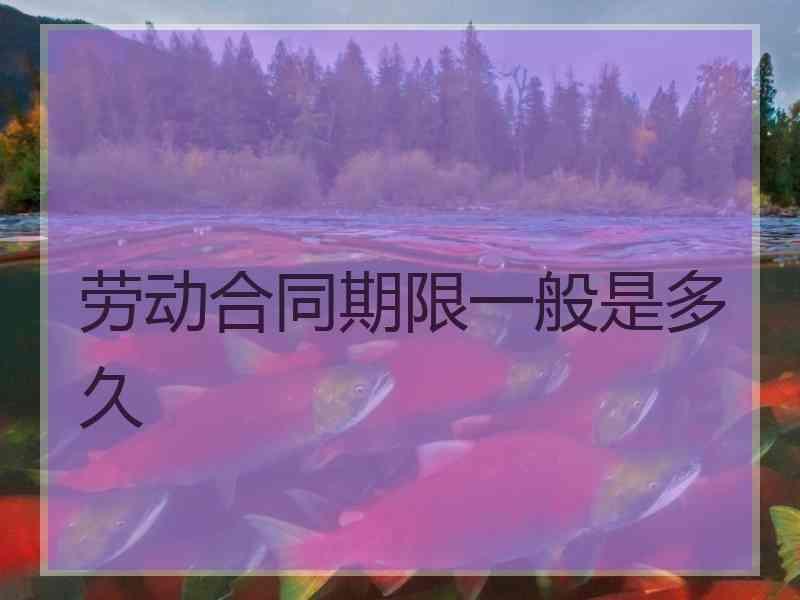 劳动合同期限一般是多久