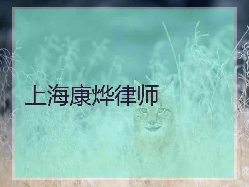 上海康烨律师